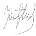 Prasy do drewna, korowanie drewna, korowarka, korowarka cambio, korowarka do drewna, prasa do drewna, prasa do klejenia, prasa hydrauliczna do drewna