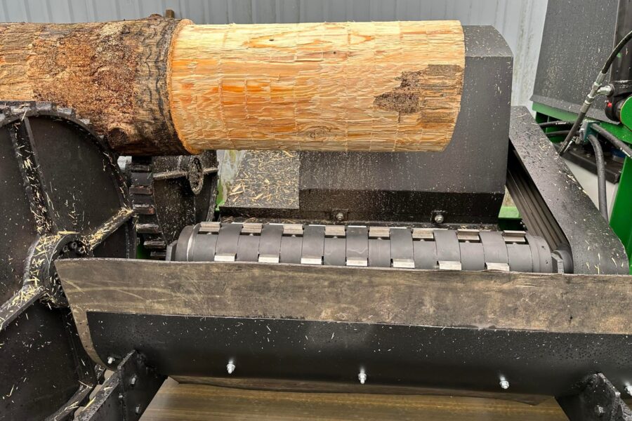 okorowany pień drzewa